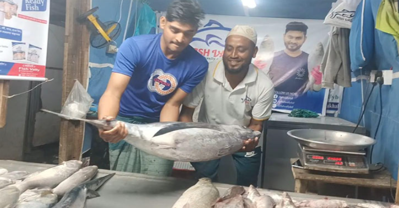 ৮০০ টাকা কেজি দরে বিক্রি হলো ১৮ কেজির টুনা ফিস