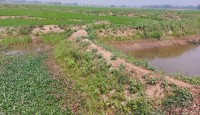 শাইল সিন্দুর খালে অর্ধশত বাঁধ, মরণদশা কৃষি জমির