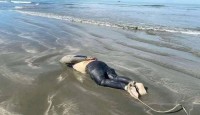 সেন্টমার্টিনে হাত-পা বাঁধা যুবকের  মরদেহ উদ্ধার